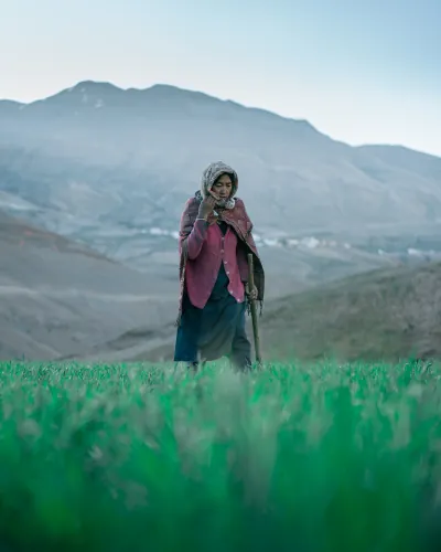 Spiti Lady